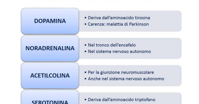 I neurotrasmettitori