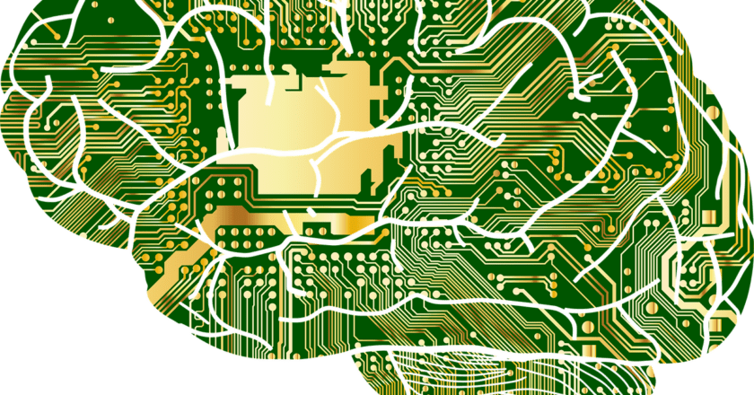 Quanto consuma  il nostro cervello