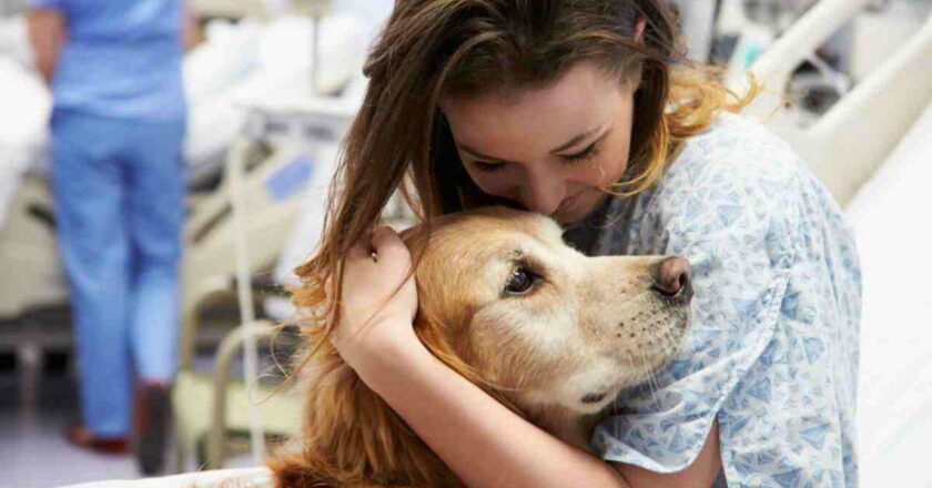 La scienza conferma che la Pet Therapy fa bene anche agli animali