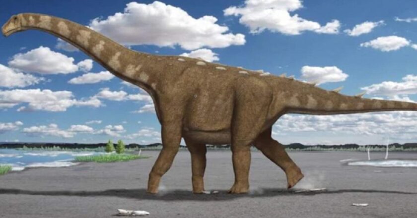 Rinvenuti i resti fossili del dinosauro più grande del mondo