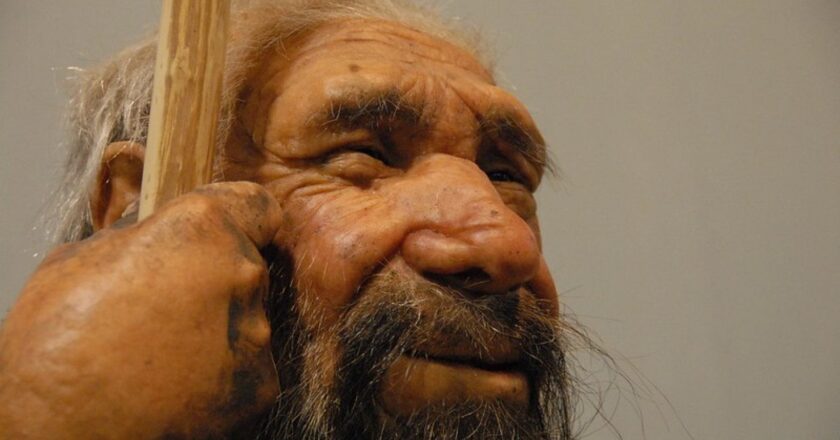 Creati in laboratorio dei mini-cervelli con tracce di DNA di Neanderthal