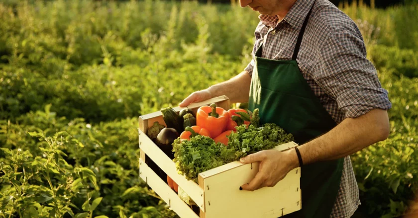 Agricoltura biologica e agricoltura biodinamica: facciamo chiarezza