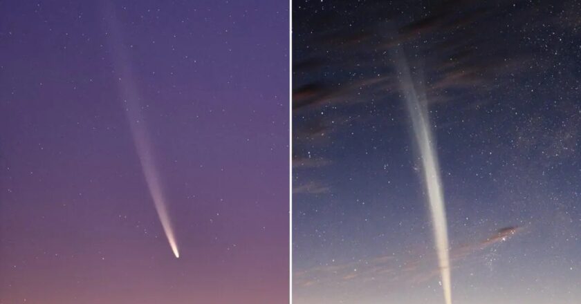 La nuova cometa A11bP7I che sfiorerà il Sole